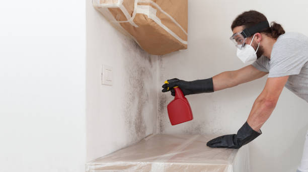 Professional Mold Removal technician working in Roanoke, TX