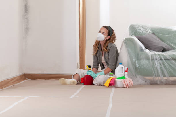 Reliable Mold Removal contractor in Roanoke, TX by WQB Mold Removal
